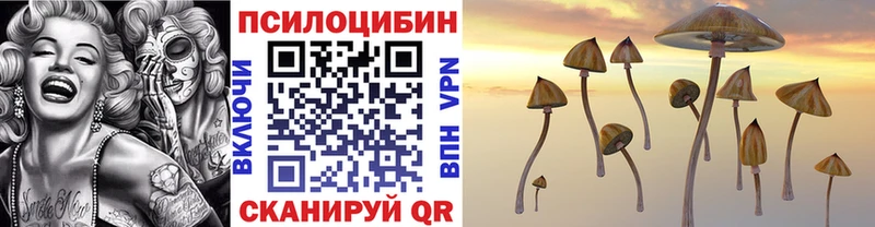 Купить закладки  Гремячинск  Псилоцибиновые грибы MAGIC MUSHROOMS 